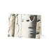 Winter Aspen Trunks - Fine Art Greeting Cards